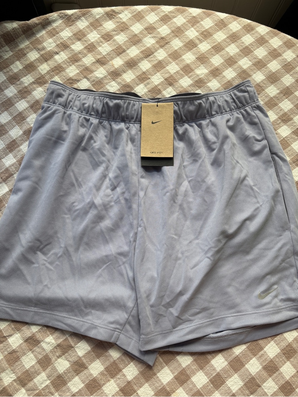 Nike Women’s Light Lavender Dri-FIT Athletic Shorts - Picture 1 of 2